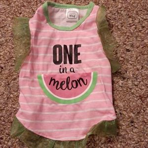 Dog or cat outfit size small